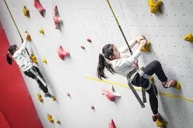 日本职棒球队展望下赛季布局